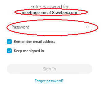 webex09.png