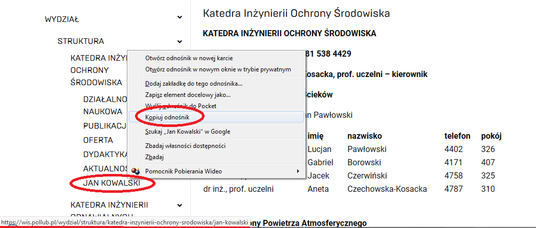 rys09.png
